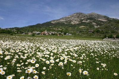 für Ihre privaten Foto